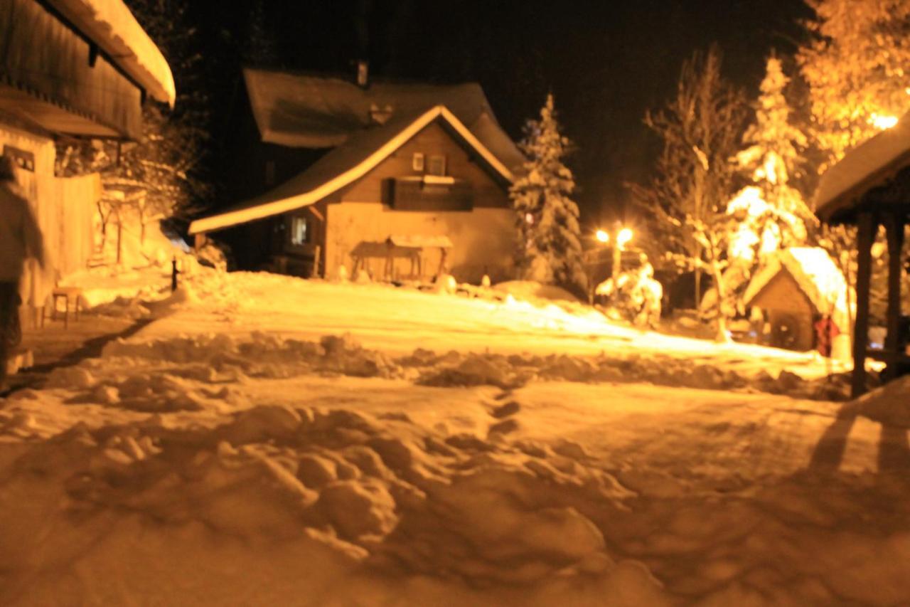 Pensiunea Aurora Albac Luaran gambar